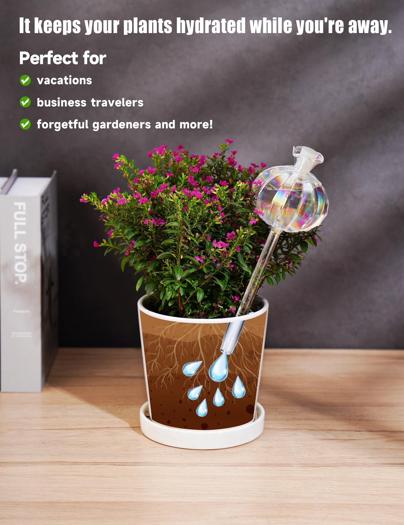 NiHome medium iridescent cactus watering bulb easy to insert into pots.