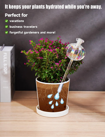 NiHome medium iridescent cactus watering bulb easy to insert into pots.