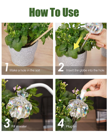 NiHome iridescent cactus watering globe lifestyle shot with plant display