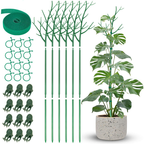 NiHome comprehensive stake set showing all six twigs and extension poles for sturdy climbing plant support.