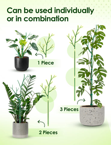 NiHome twig design stake close-up blends with foliage for discreet vertical growth.