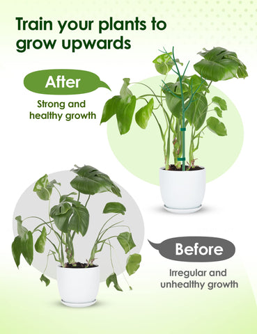 NiHome UV-resistant plant stakes resist fading for long-lasting outdoor use.