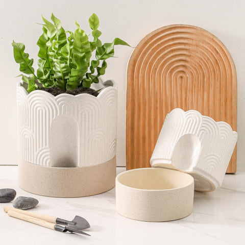 Nihow ceramic pot with various plants showing versatility.