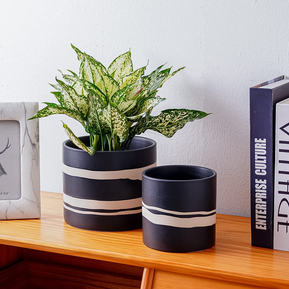 Nihow plant pot in use with lush greenery for versatile indoor placement.