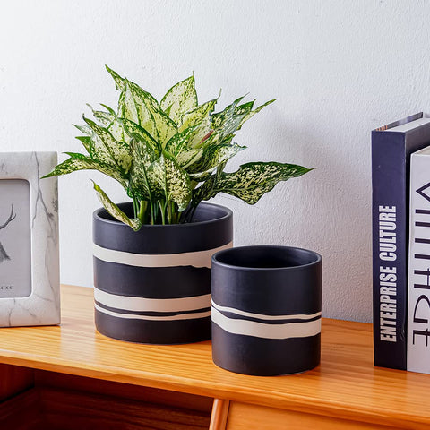 Nihow plant pot in use with lush greenery for versatile indoor placement.