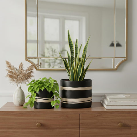 Nihow nature color option ceramic pot adds natural contrast to green foliage.