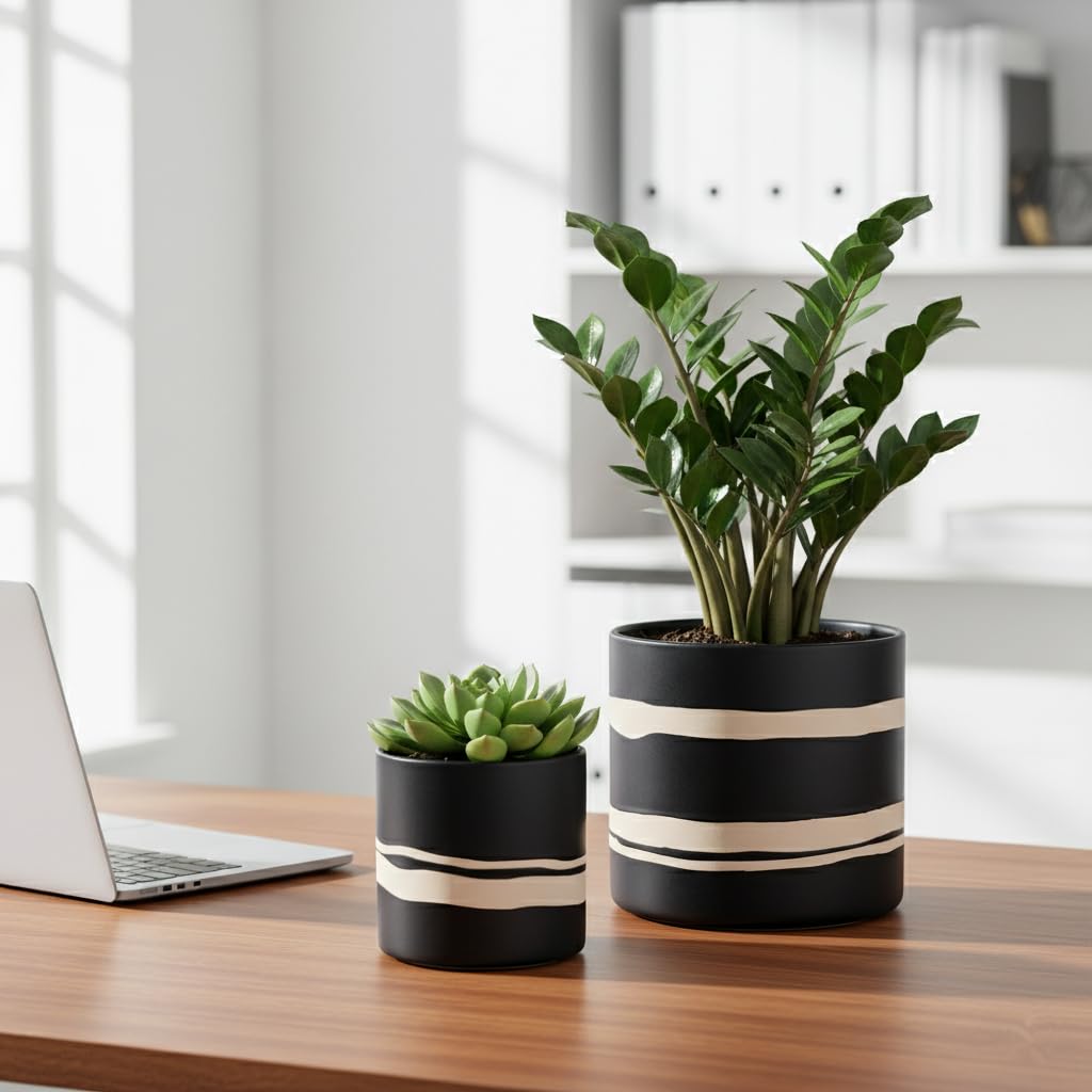 Nihow semi-matte black ceramic pot, modern and stylish for home decor.