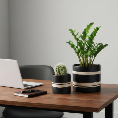 Nihow small ceramic plant pot with 4-5 inch diameter, perfect for herbs or small greenery.
