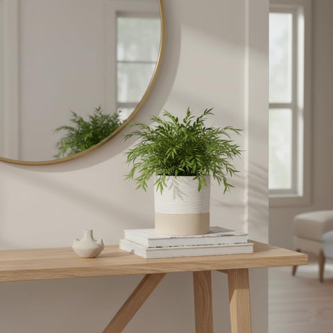 Nihow self-watering pot cotton wick detail supports steady soil hydration
