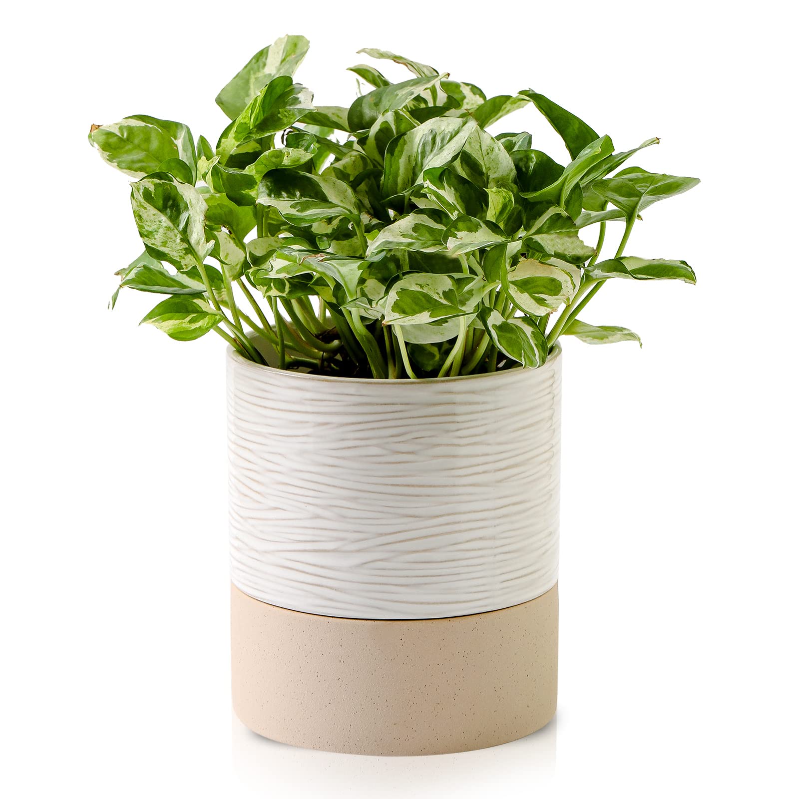 Nihow self-watering pot front view in cream white with brown stripes for indoor spaces