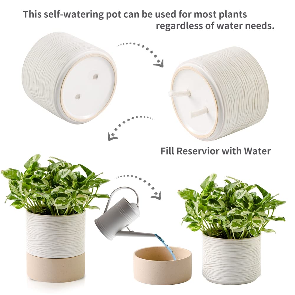 Nihow self-watering pot water storage saucer demonstrating long-lasting moisture for plants