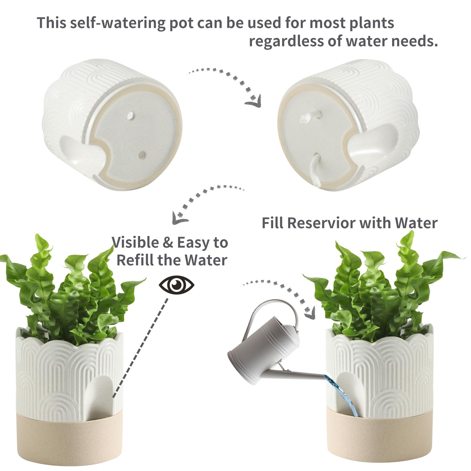 Nihow ceramic pot water-storage saucer demonstrates extended hydration.