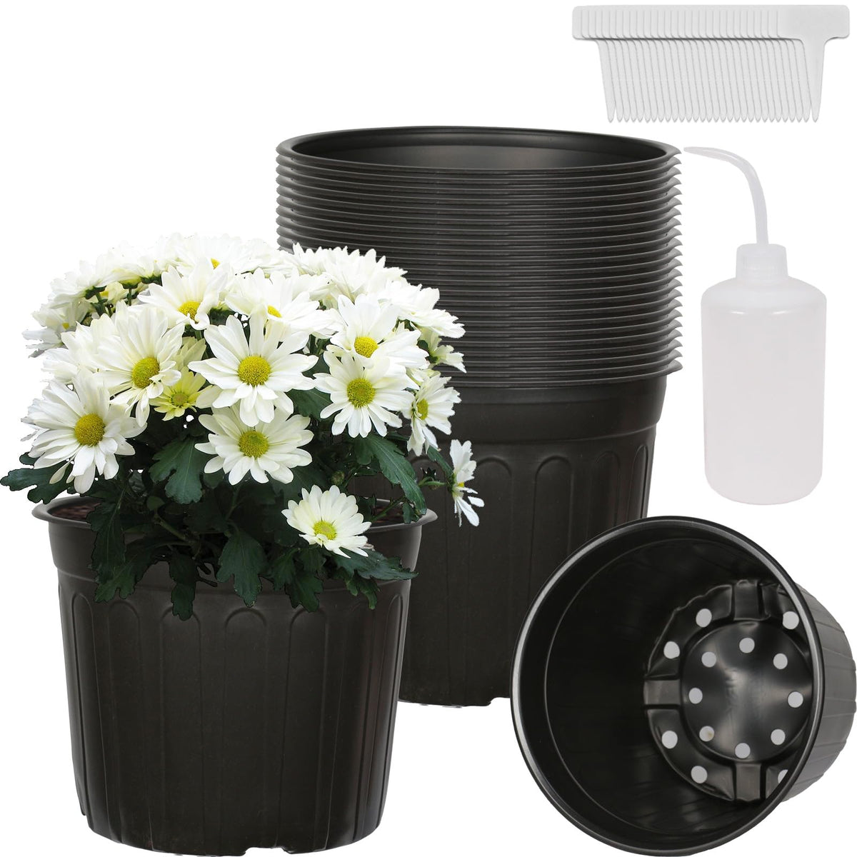 Niiiice 24-pack 3-gallon soft-plastic pots for seed starting.