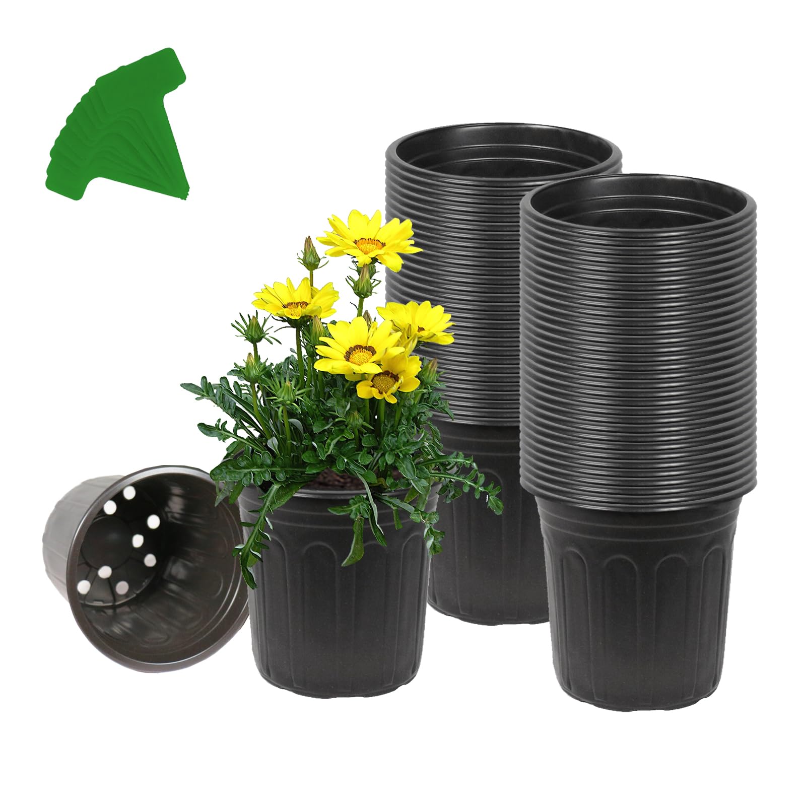 Niiiice 60-pack 1-gallon soft plastic plant pots arranged for seed starting and transplanting.
