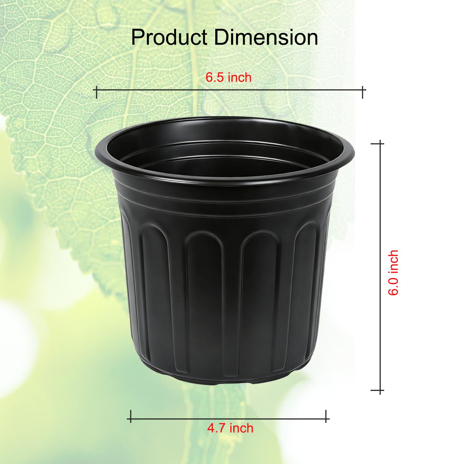 Niiiice pots show bottom drainage holes promoting soil drainage and air circulation.