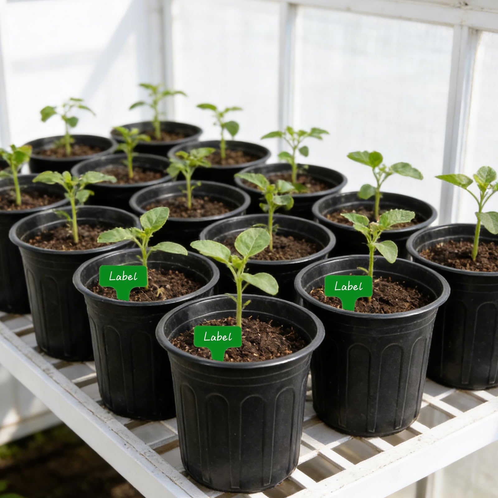 Niiiice versatile nursery pots suitable for yard, porch, greenhouse, and office greenery.