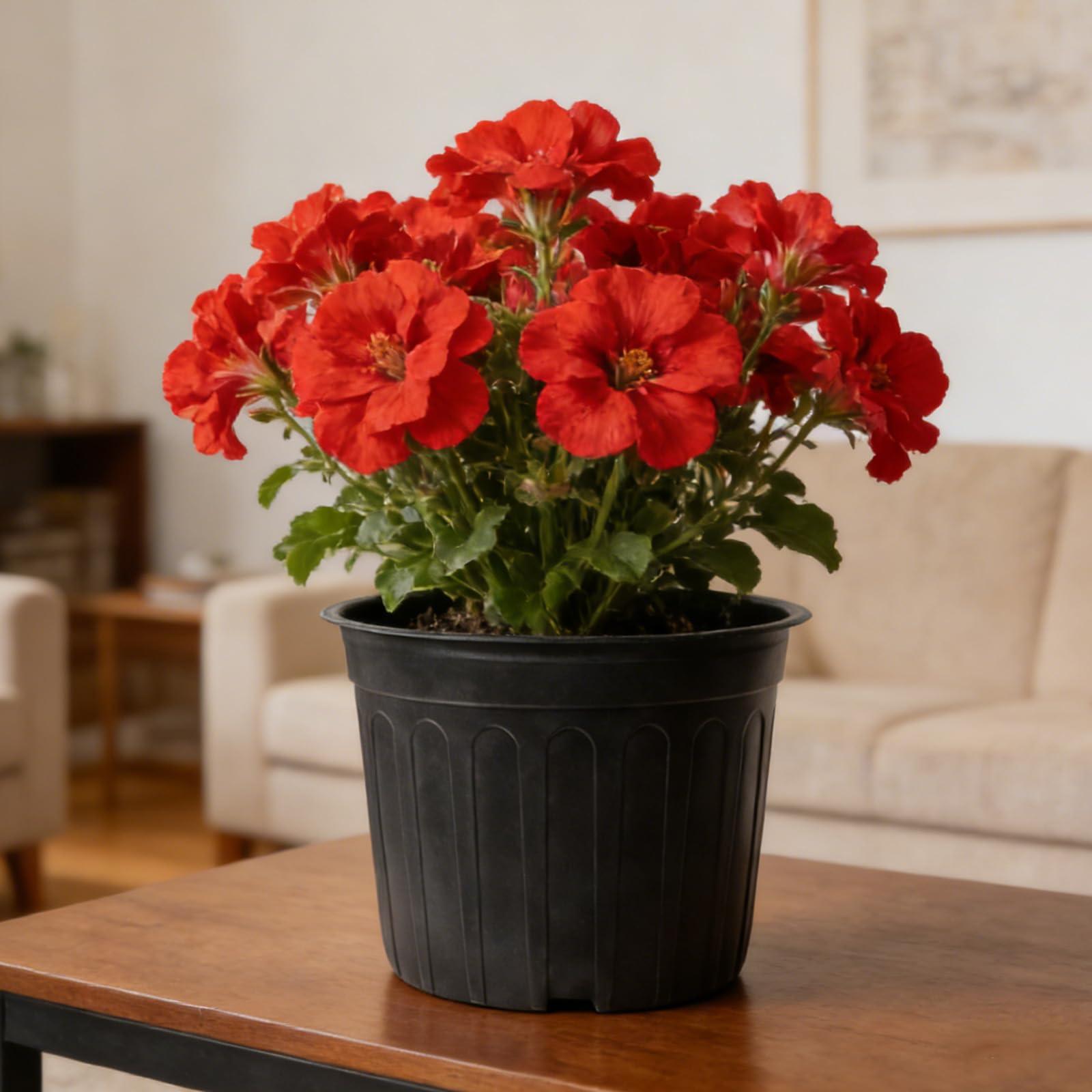 Niiiice 24-pack kit suitable for indoor and outdoor plants.