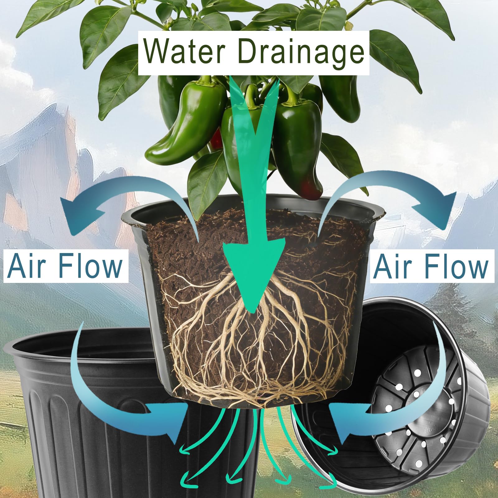 Niiiice lightweight reusable plastic pots ideal for indoor and outdoor gardening tasks.