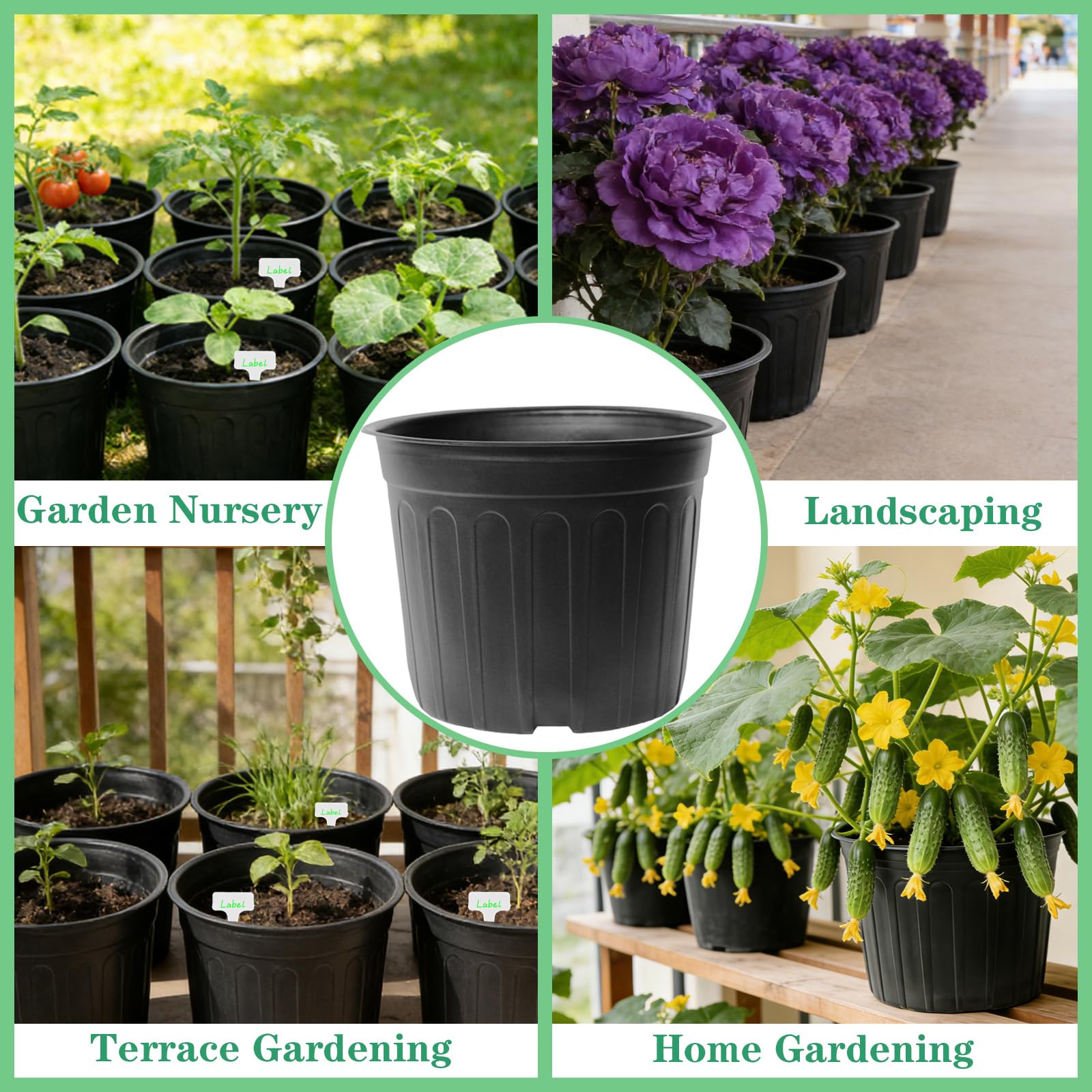 Niiiice pot with raised rim for easy handling and transplanting.