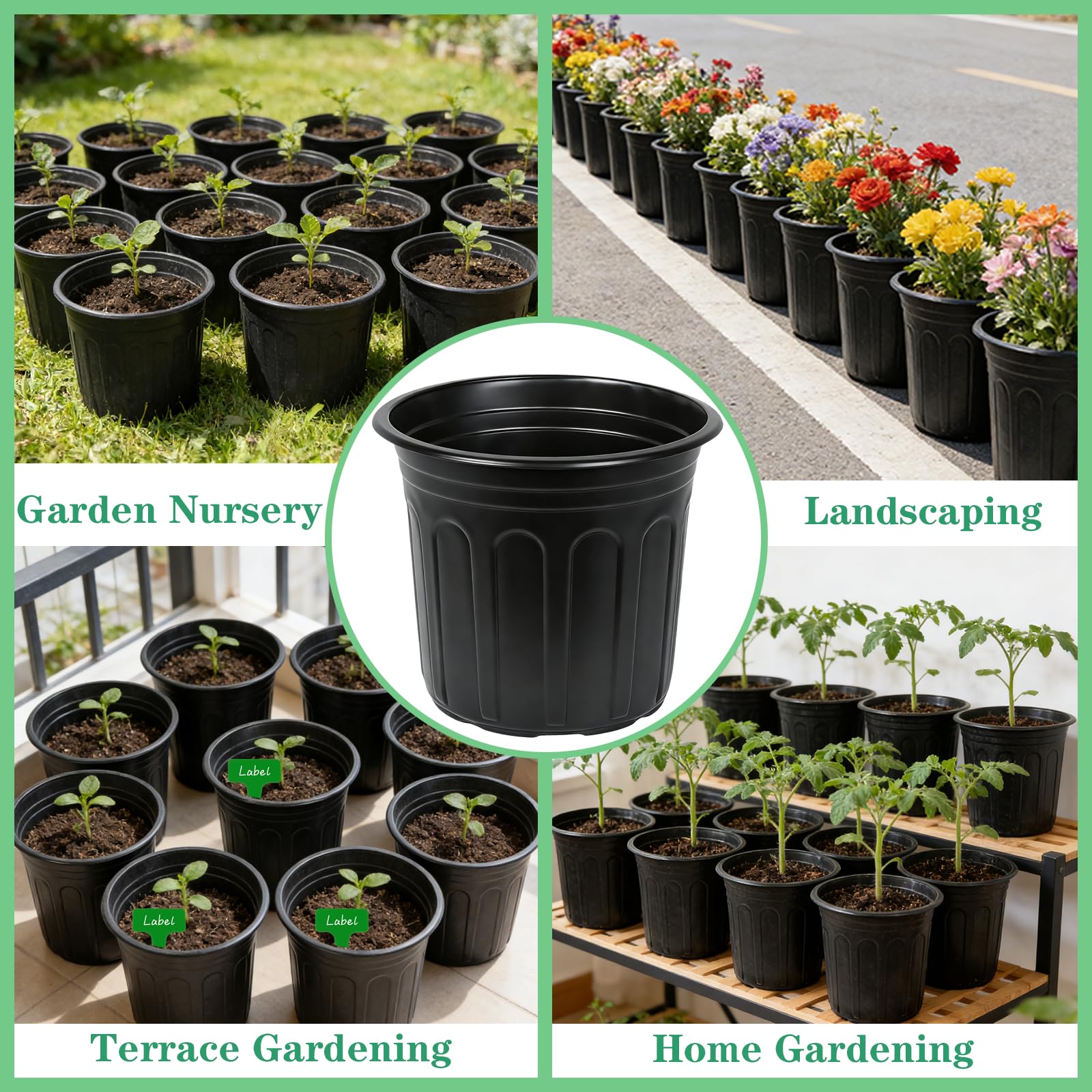 Niiiice pot set used for seedling care and transplant preparation in a home garden.
