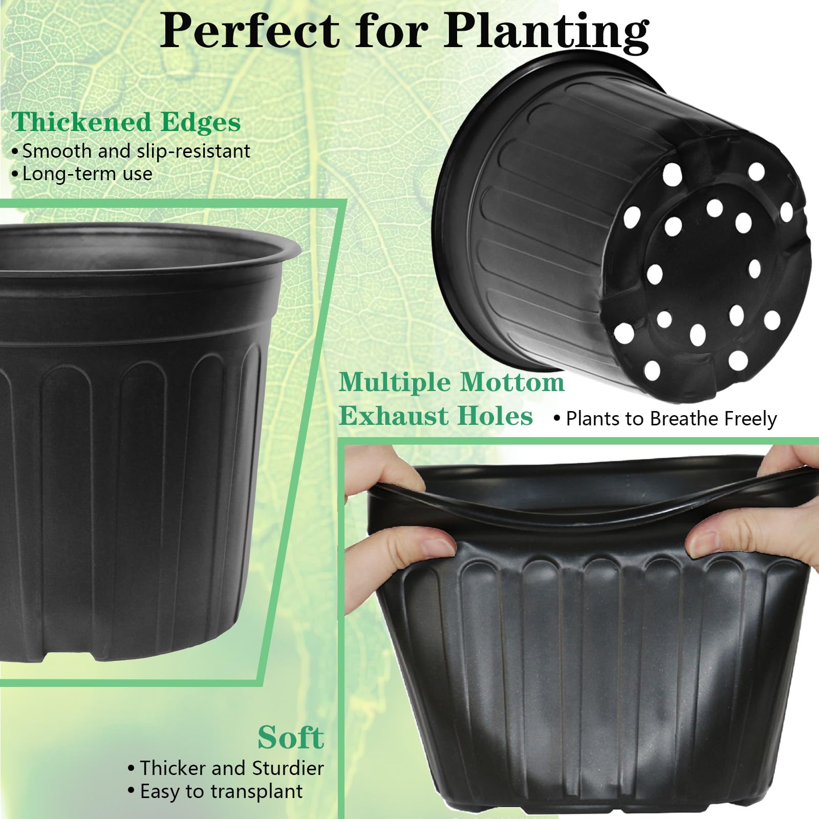 Niiiice 500 ml watering bottle for convenient plant care.