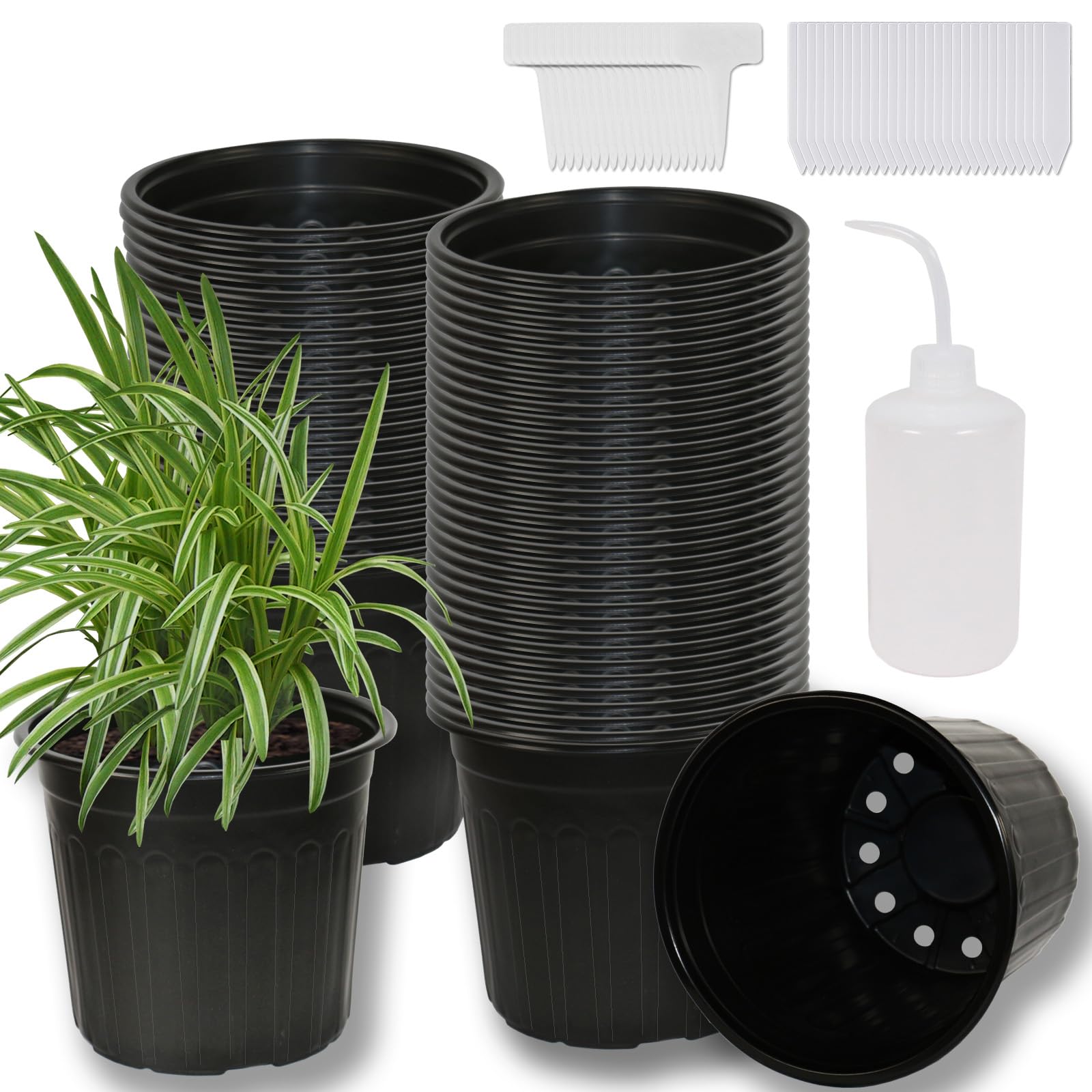 Niiiice 60-pack soft plastic pots for easy transplanting and drainage.
