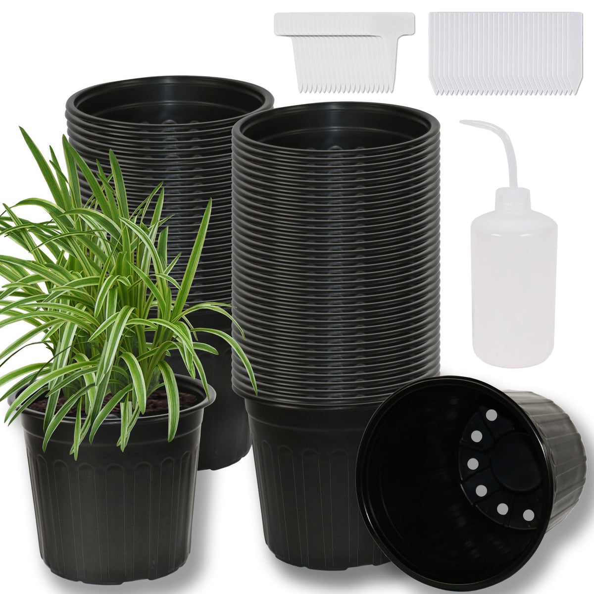 Niiiice 60-pack soft plastic pots for easy transplanting and drainage.