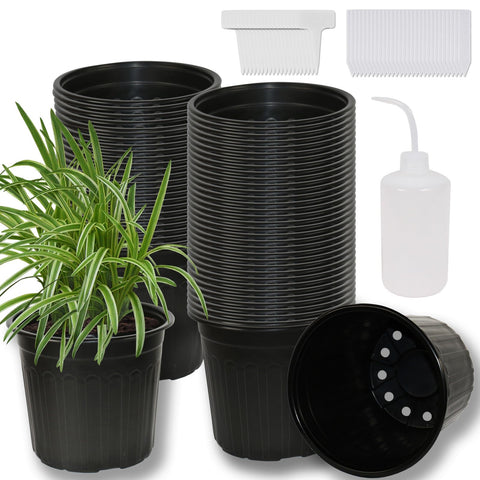 Niiiice 60-pack soft plastic pots for easy transplanting and drainage.