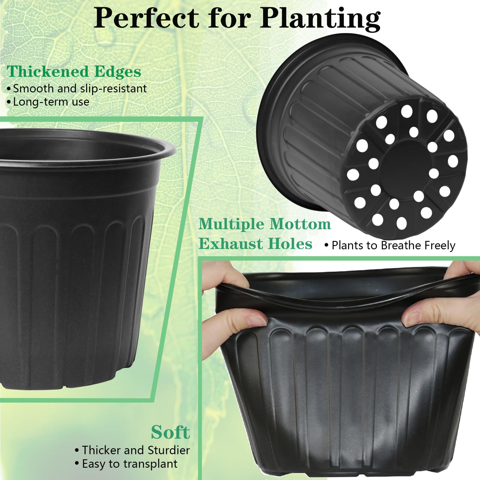 Niiiice bottom drainage holes promote soil drainage and root airflow.