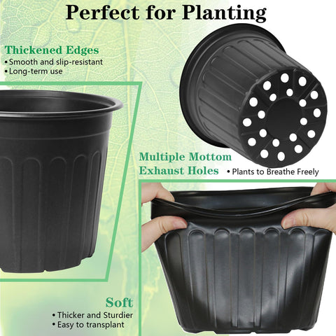 Niiiice bottom drainage holes promote soil drainage and root airflow.