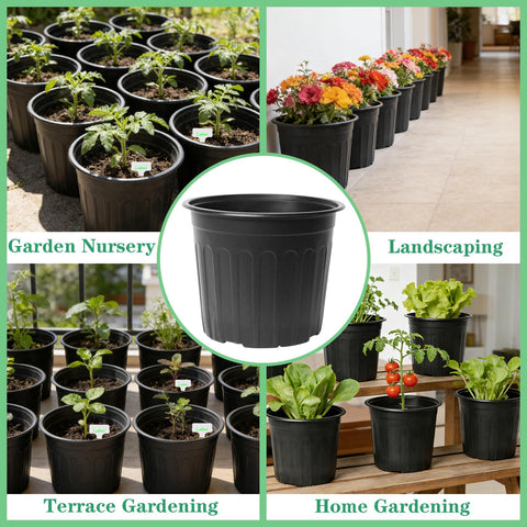 Niiiice drainage holes promote soil aeration and root health.