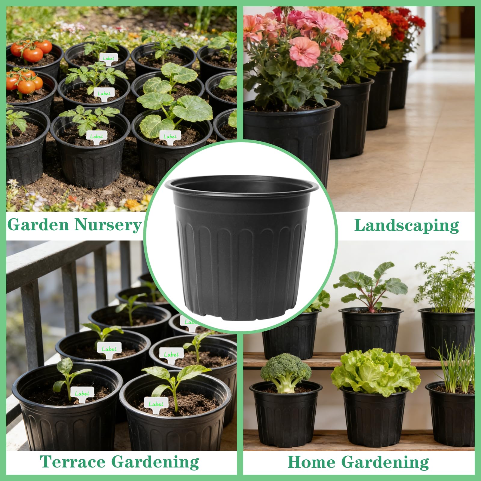 Niiiice kit includes watering bottle, transplant tools, and labels.