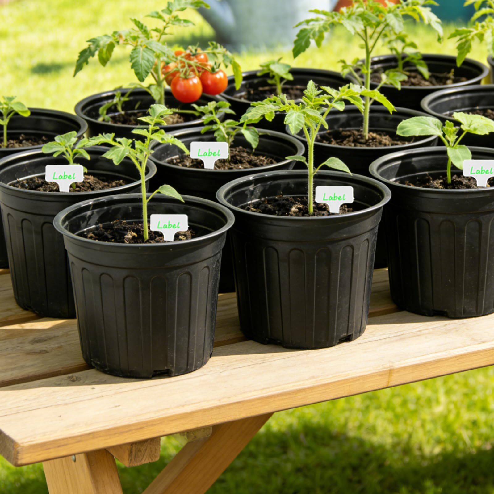 Niiiice plant labels 50pcs for quick plant naming.
