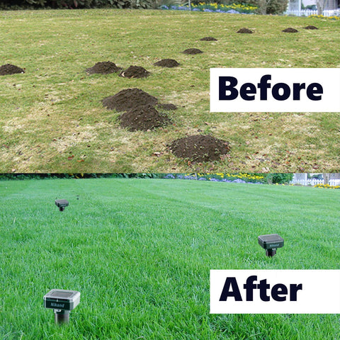 NIKAND solar mole repellent 4-pack box emphasizes value for larger yards