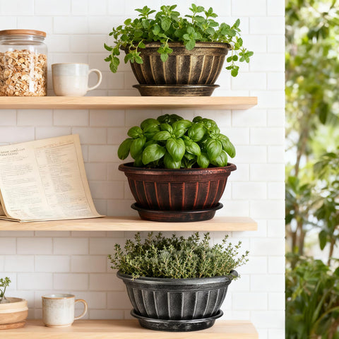 NIKONIKO drain-hole design pots promote drainage and healthier root growth.