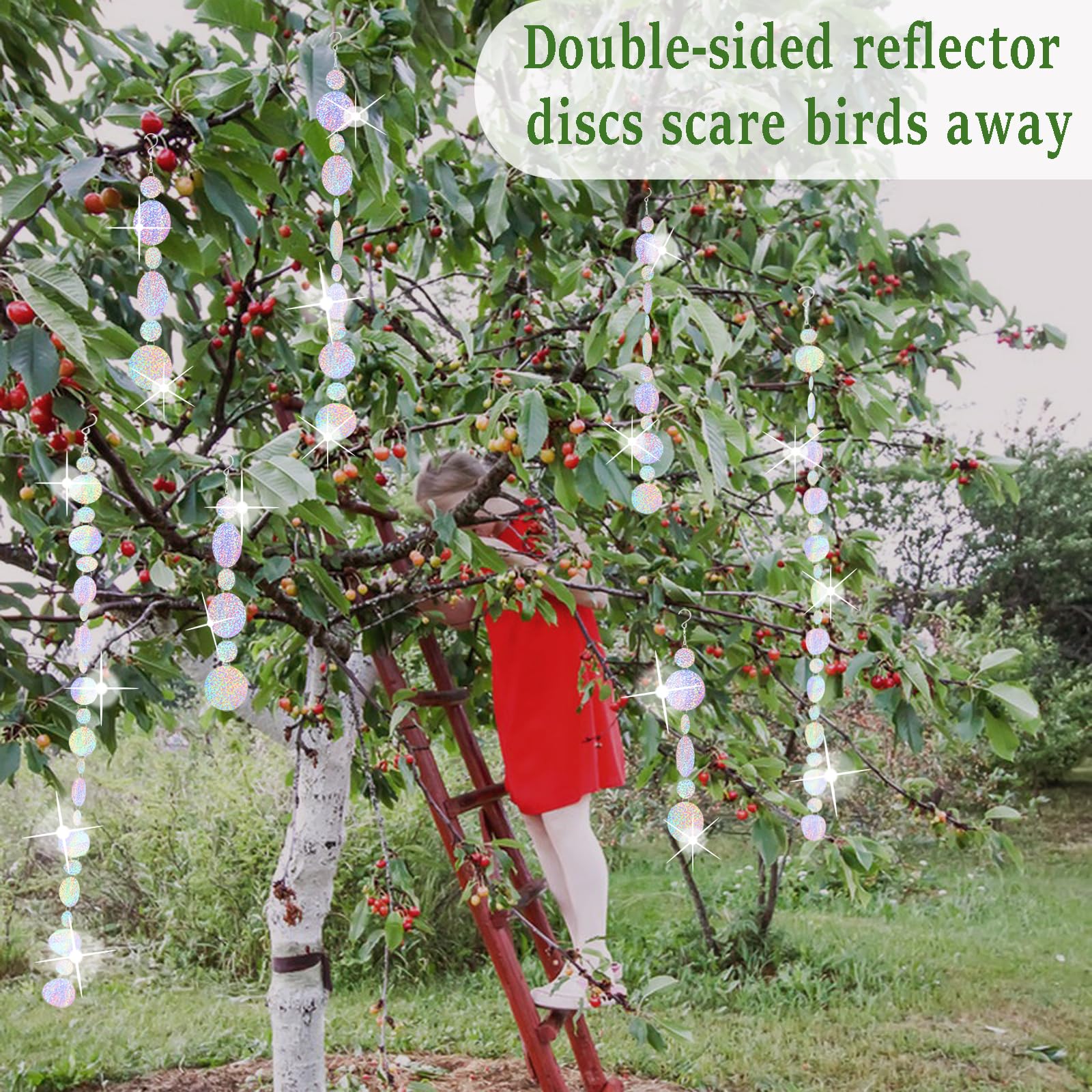 Nilioerup garden and orchard discs protect plants from birds.