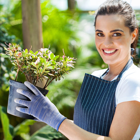 Six pack of Nimalpal gloves suitable for gardening and landscaping.