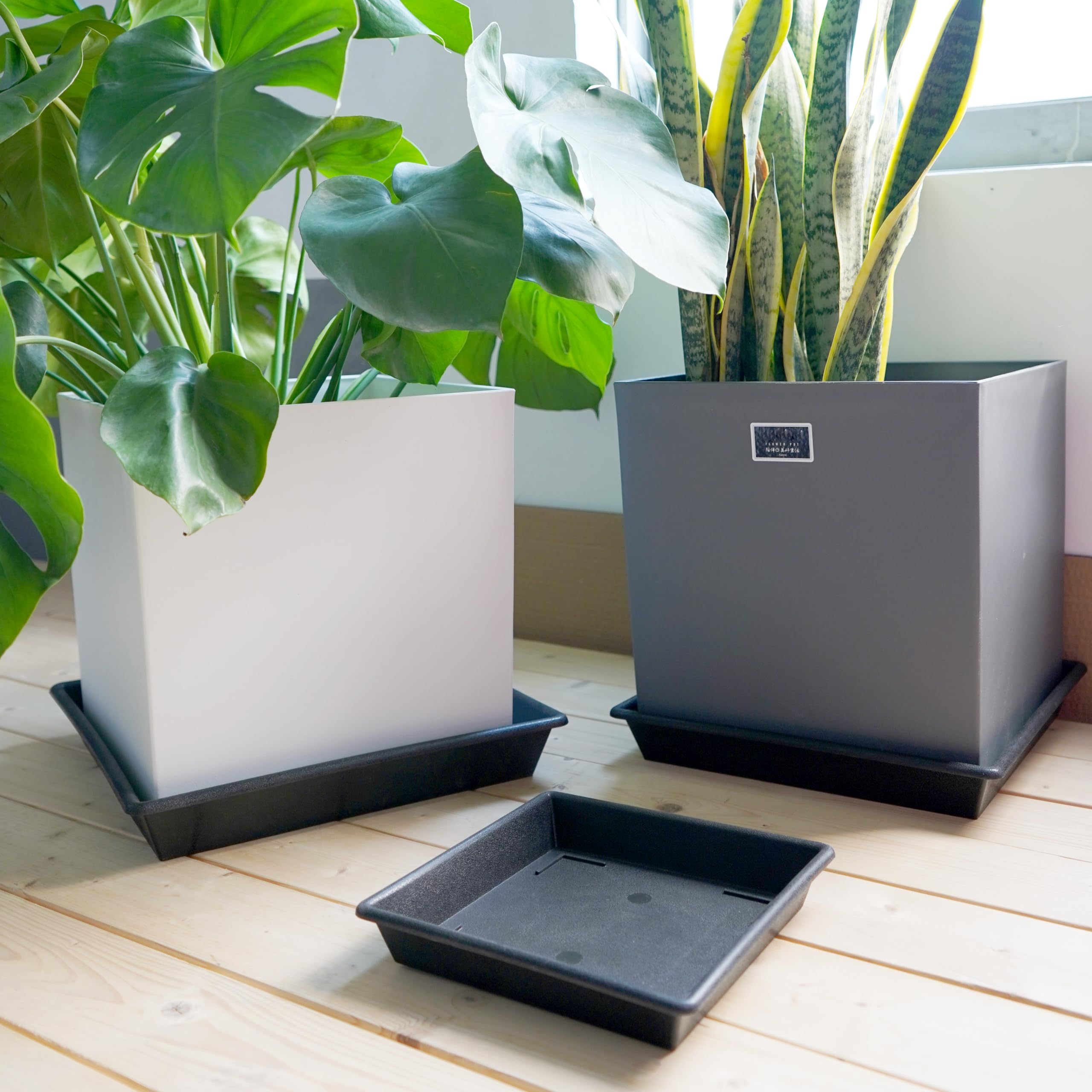 NIMYAU 12-inch square saucer with central bulge promotes airflow.