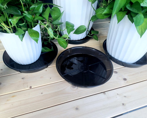 NIMYAU bottom-vented saucer supports airflow and moisture balance.
