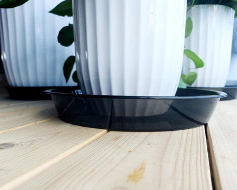 NIMYAU clear plant tray for easy drainage and visibility.