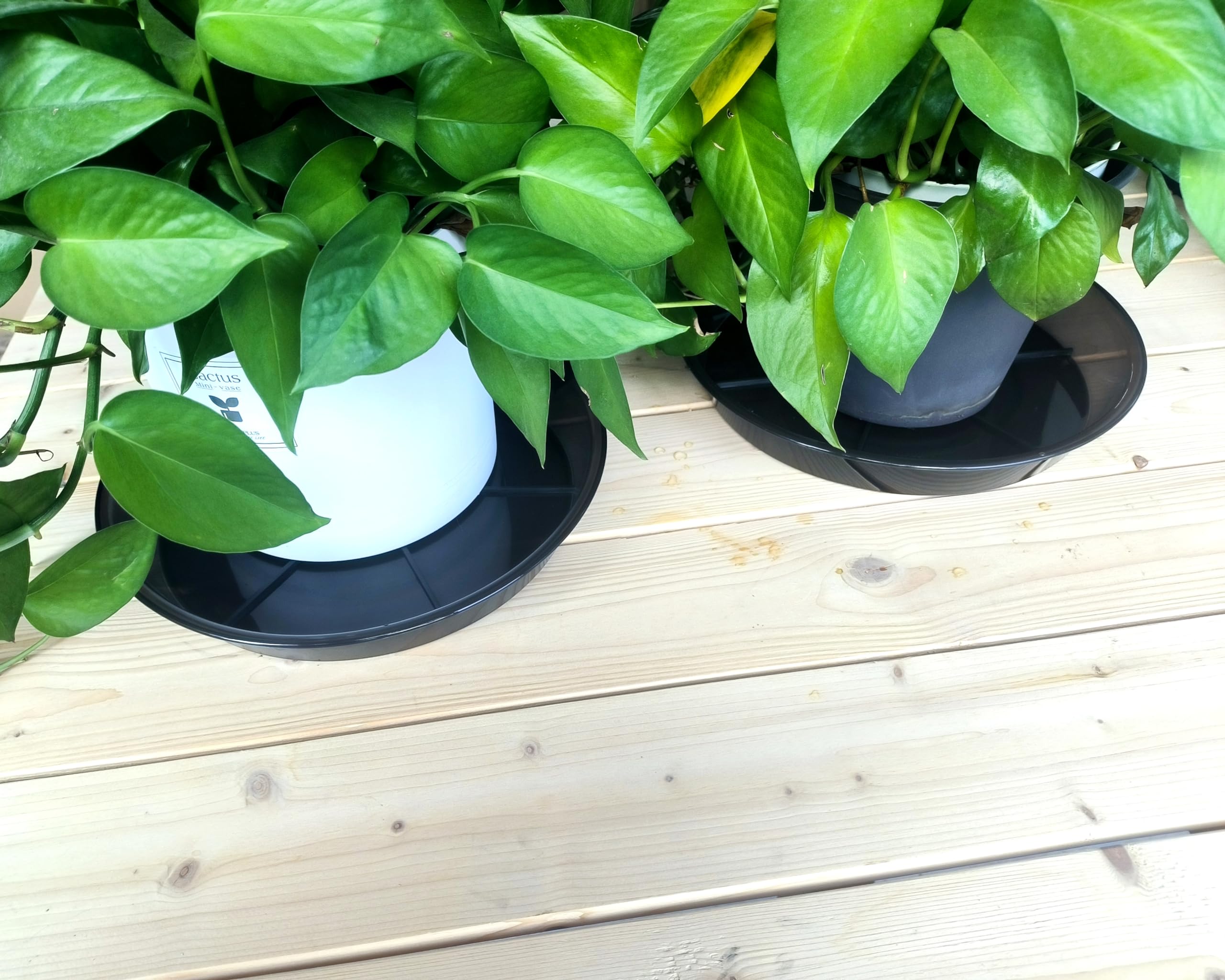 NIMYAU no-hole design protects floors by catching excess water.
