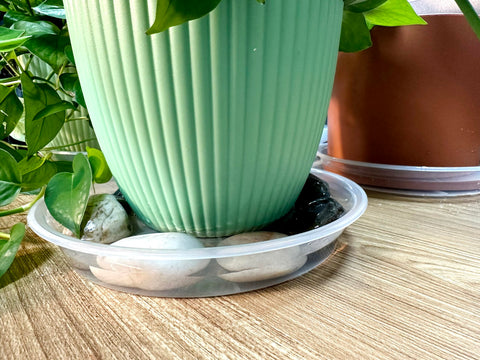 NIMYAU Clear Plant Saucer water-catch demonstrates overflow visibility