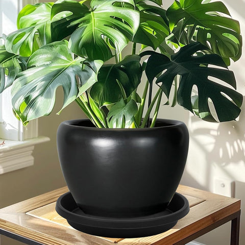 NIMYAU plant saucer easy to clean and maintain.