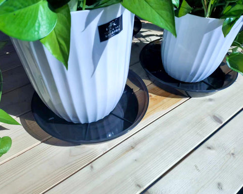 NIMYAU six-pack of 12-inch saucers for versatile setups.