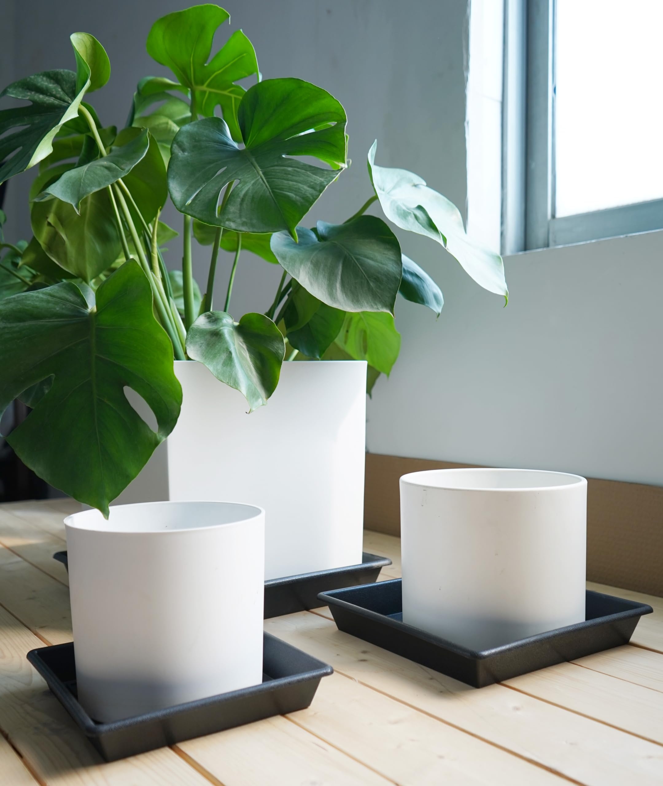 NIMYAU 2-pack square saucer front view ideal for indoor outdoor use
