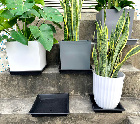 NIMYAU two-pack square plant saucers ready for immediate use