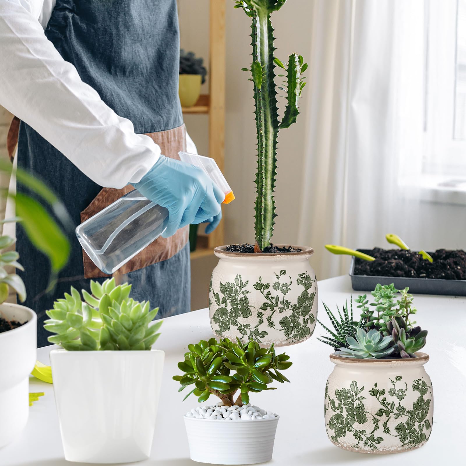 Ninehaoou indoor planter on a windowsill enhances both modern and traditional spaces.