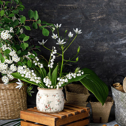 Ninehaoou planter with beige-red floral pattern enhances decor
