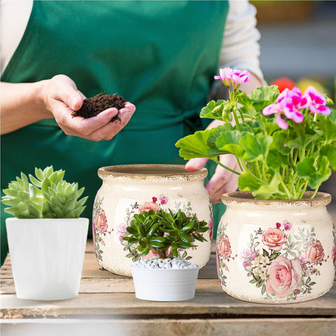 Ninehaoou planter on shelf demonstrates subtle indoor decoration.