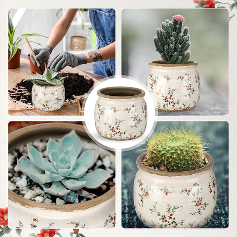 Ninehaoou outdoor-ready planter for covered spaces with crackle glaze.